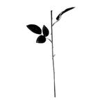 VesproMalaspada